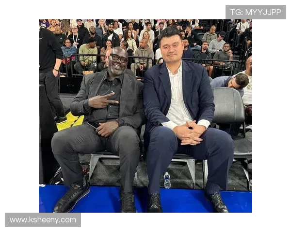 姚明的传奇人生与要命之歌背后的深刻寓意与启示